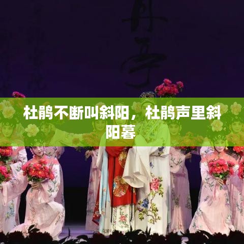 杜鵑不斷叫斜陽(yáng)，杜鵑聲里斜陽(yáng)暮 