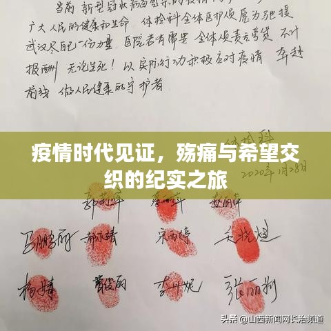 疫情時代見證，殤痛與希望交織的紀(jì)實之旅