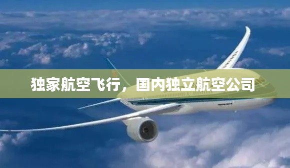 獨(dú)家航空飛行，國內(nèi)獨(dú)立航空公司 