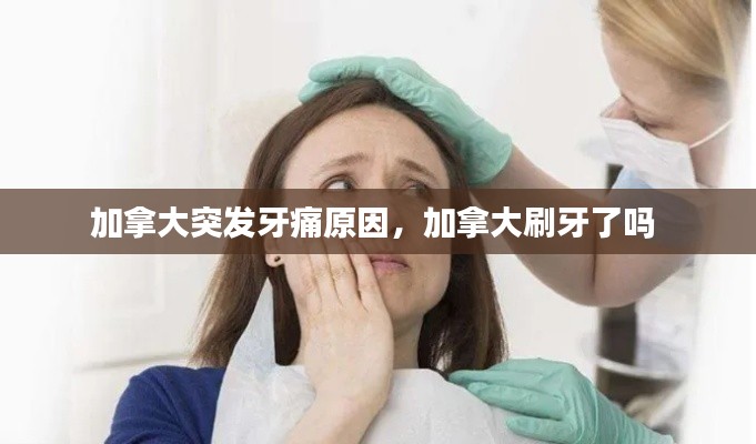 加拿大突發(fā)牙痛原因，加拿大刷牙了嗎 