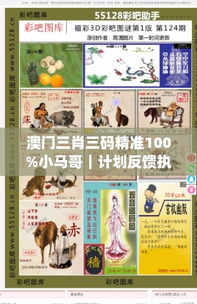澳門三肖三碼精準(zhǔn)100%小馬哥｜計劃反饋執(zhí)行