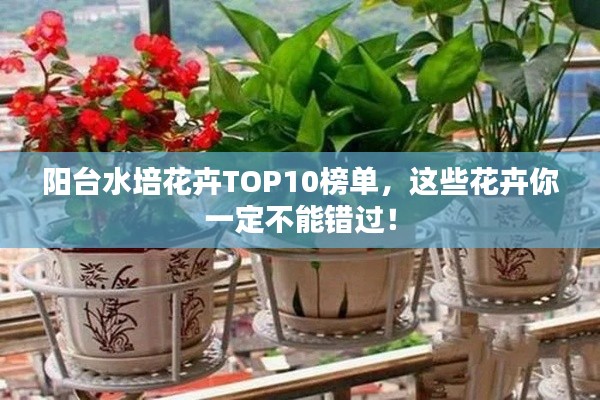 陽臺水培花卉TOP10榜單，這些花卉你一定不能錯過！