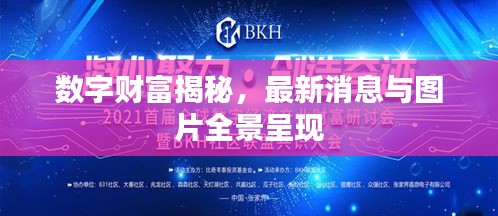 數(shù)字財富揭秘，最新消息與圖片全景呈現(xiàn)