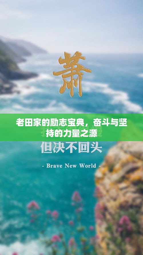 老田家的勵(lì)志寶典，奮斗與堅(jiān)持的力量之源