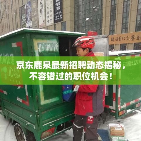 京東鹿泉最新招聘動(dòng)態(tài)揭秘，不容錯(cuò)過的職位機(jī)會(huì)！
