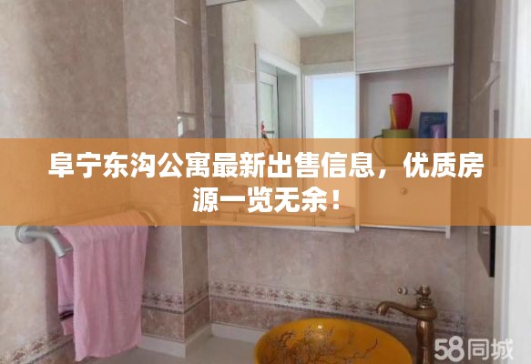 阜寧東溝公寓最新出售信息，優(yōu)質(zhì)房源一覽無余！