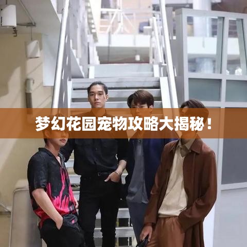 夢幻花園寵物攻略大揭秘！