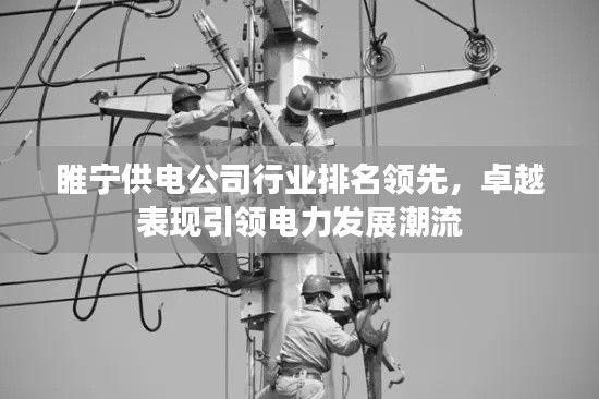睢寧供電公司行業(yè)排名領(lǐng)先，卓越表現(xiàn)引領(lǐng)電力發(fā)展潮流
