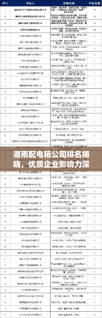 湖南配電箱公司排名揭曉，優(yōu)質企業(yè)影響力深度解析