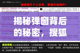 揭秘彈窗背后的秘密，搜狐信息泛濫現(xiàn)象深度探討