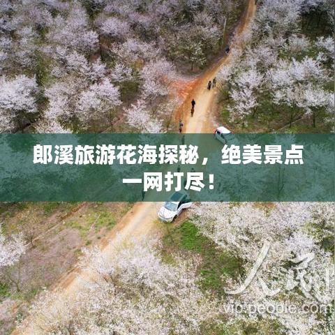 郎溪旅游花海探秘，絕美景點(diǎn)一網(wǎng)打盡！