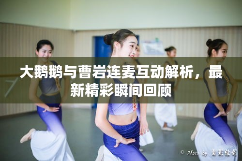 大鵝鵝與曹巖連麥互動(dòng)解析，最新精彩瞬間回顧