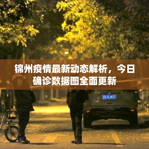 錦州疫情最新動態(tài)解析，今日確診數(shù)據(jù)圖全面更新