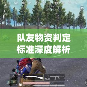 隊(duì)友物資判定標(biāo)準(zhǔn)深度解析，最新探討與解讀
