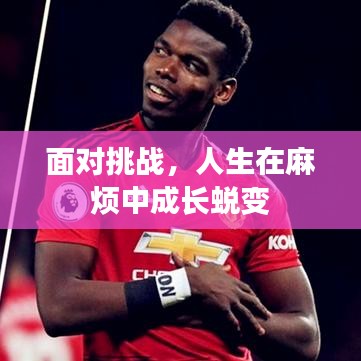 面對(duì)挑戰(zhàn)，人生在麻煩中成長(zhǎng)蛻變