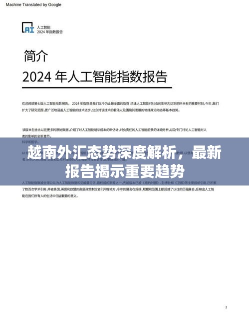 越南外匯態(tài)勢(shì)深度解析，最新報(bào)告揭示重要趨勢(shì)