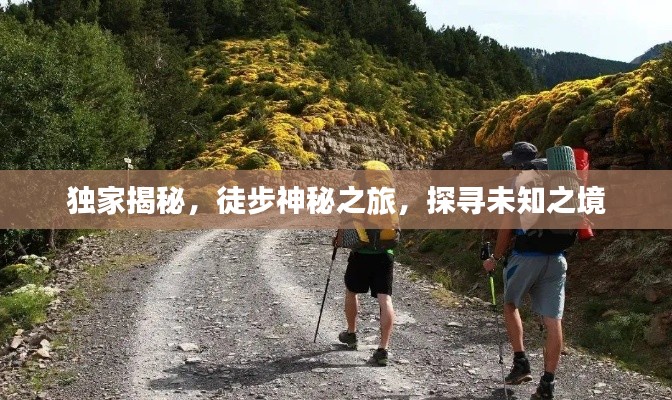 獨(dú)家揭秘，徒步神秘之旅，探尋未知之境