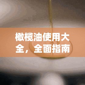 橄欖油使用大全，全面指南與小貼士，輕松掌握橄欖油的多重用途！