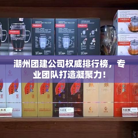 潮州團建公司權威排行榜，專業(yè)團隊打造凝聚力！