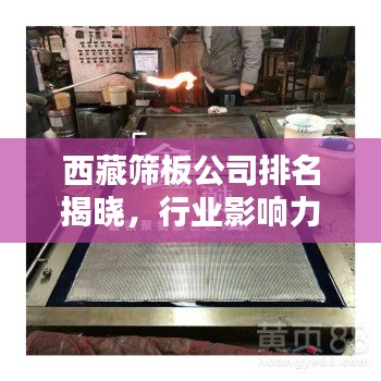 西藏篩板公司排名揭曉，行業(yè)影響力不容小覷
