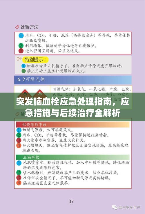 突發(fā)腦血栓應(yīng)急處理指南，應(yīng)急措施與后續(xù)治療全解析