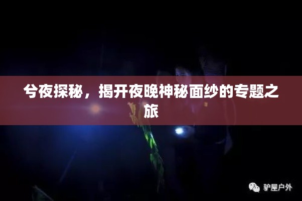 兮夜探秘，揭開夜晚神秘面紗的專題之旅