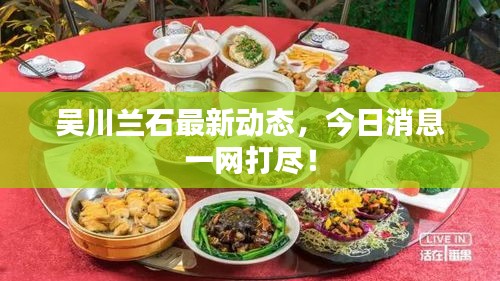 吳川蘭石最新動態(tài)，今日消息一網(wǎng)打盡！