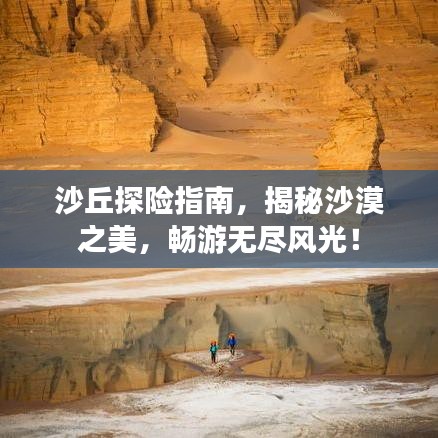 沙丘探險(xiǎn)指南，揭秘沙漠之美，暢游無盡風(fēng)光！