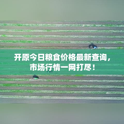 開原今日糧食價格最新查詢，市場行情一網(wǎng)打盡！