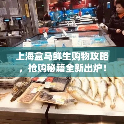 上海盒馬鮮生購物攻略，搶購秘籍全新出爐！