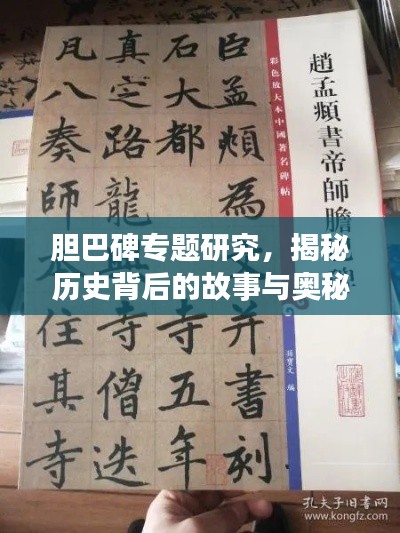 膽巴碑專題研究，揭秘歷史背后的故事與奧秘