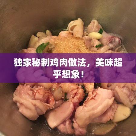 獨家秘制雞肉做法，美味超乎想象！