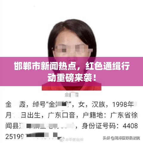 邯鄲市新聞熱點(diǎn)，紅色通緝行動(dòng)重磅來襲！