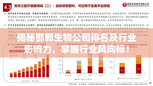 揭秘邯鄲生物公司排名及行業(yè)影響力，掌握行業(yè)風(fēng)向標(biāo)！