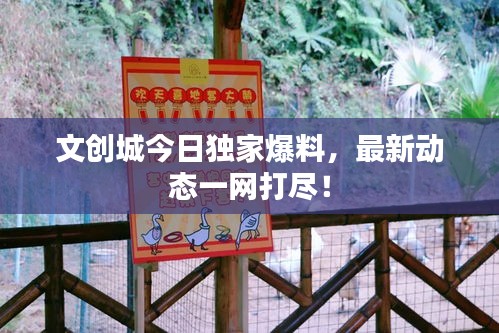 文創(chuàng)城今日獨家爆料，最新動態(tài)一網(wǎng)打盡！