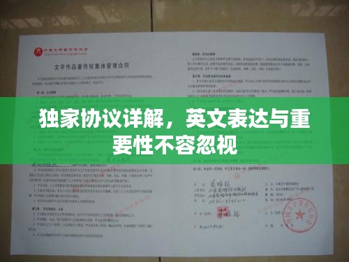 獨(dú)家協(xié)議詳解，英文表達(dá)與重要性不容忽視