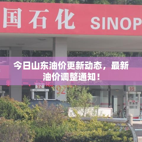 今日山東油價更新動態(tài)，最新油價調整通知！