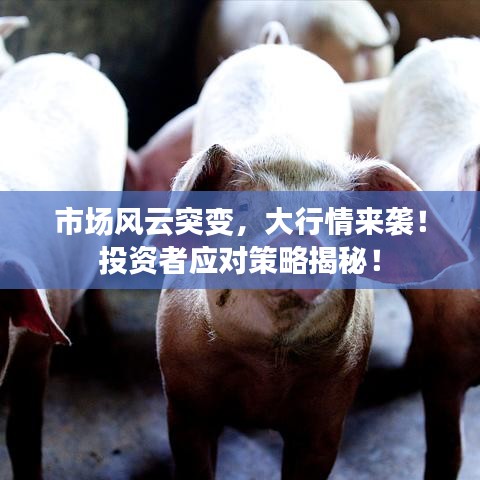 市場風云突變，大行情來襲！投資者應對策略揭秘！