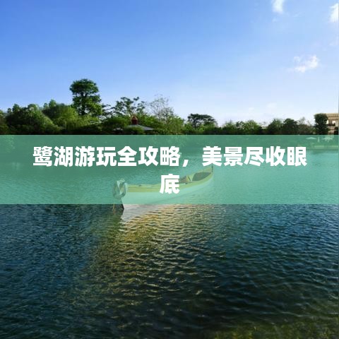 鷺湖游玩全攻略，美景盡收眼底