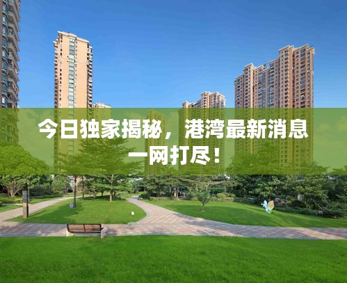 今日獨(dú)家揭秘，港灣最新消息一網(wǎng)打盡！
