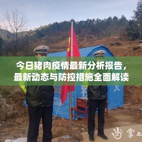 今日豬肉疫情最新分析報告，最新動態(tài)與防控措施全面解讀