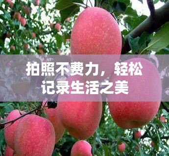 拍照不費(fèi)力，輕松記錄生活之美