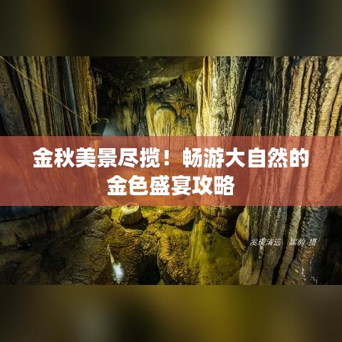金秋美景盡攬！暢游大自然的金色盛宴攻略