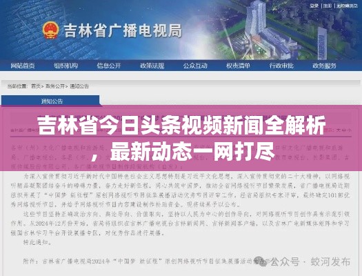 吉林省今日頭條視頻新聞全解析，最新動態(tài)一網(wǎng)打盡