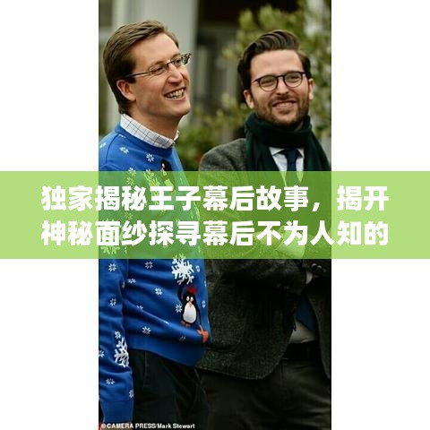 獨(dú)家揭秘王子幕后故事，揭開(kāi)神秘面紗探尋幕后不為人知的秘密