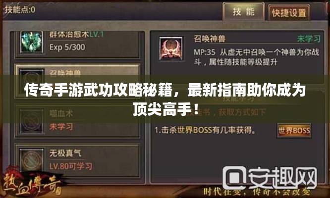 傳奇手游武功攻略秘籍，最新指南助你成為頂尖高手！
