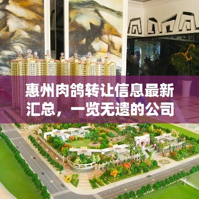 惠州肉鴿轉讓信息最新匯總，一覽無遺的公司資訊