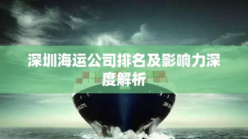 深圳海運公司排名及影響力深度解析
