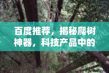 百度推薦，揭秘爬樹神器，科技產(chǎn)品中的神奇探索