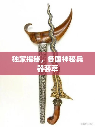 獨(dú)家揭秘，各國神秘兵器薈萃